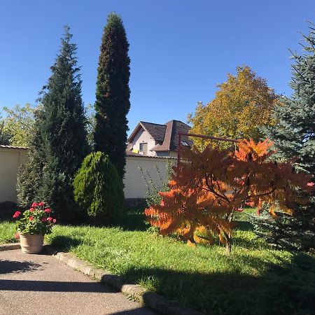 Vila Old Cars Cristian (Brasov) Exterior foto
