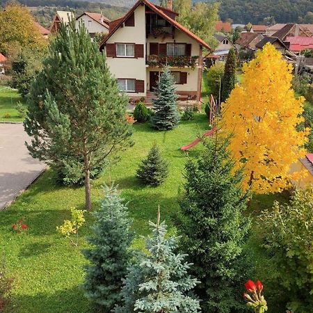 Vila Old Cars Cristian (Brasov) Exterior foto