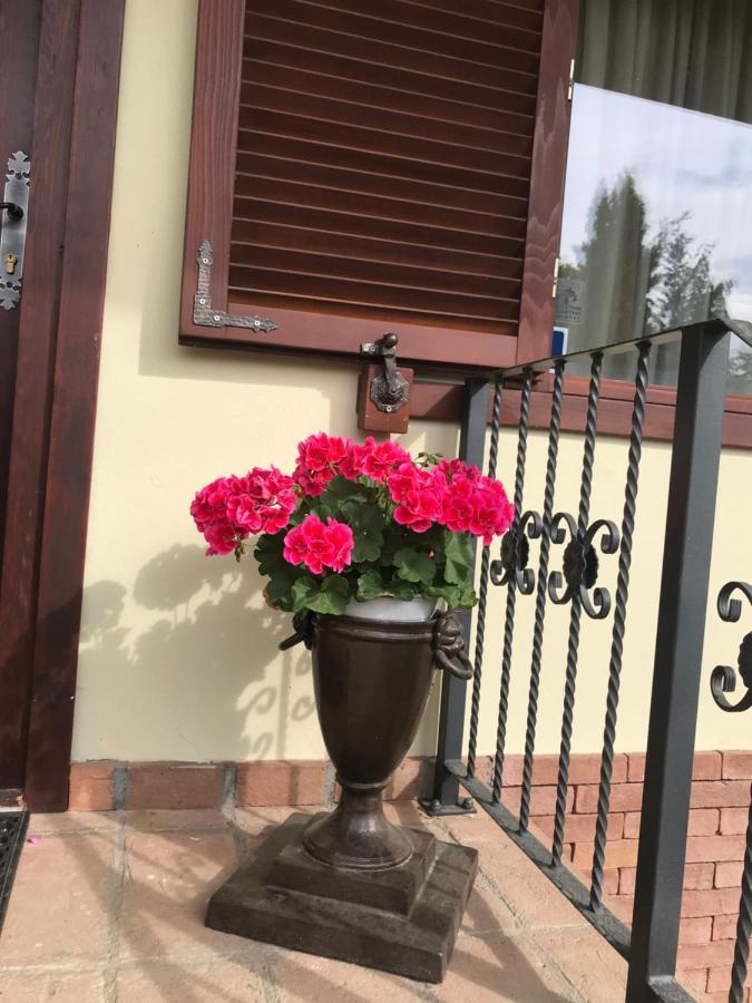 Vila Old Cars Cristian (Brasov) Exterior foto