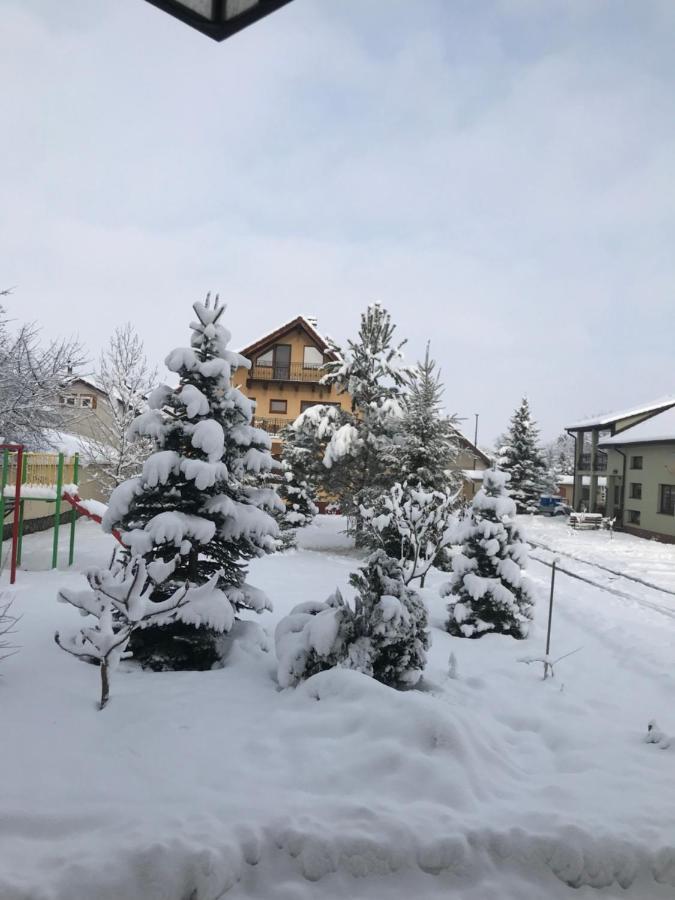 Vila Old Cars Cristian (Brasov) Exterior foto