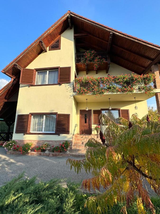 Vila Old Cars Cristian (Brasov) Exterior foto