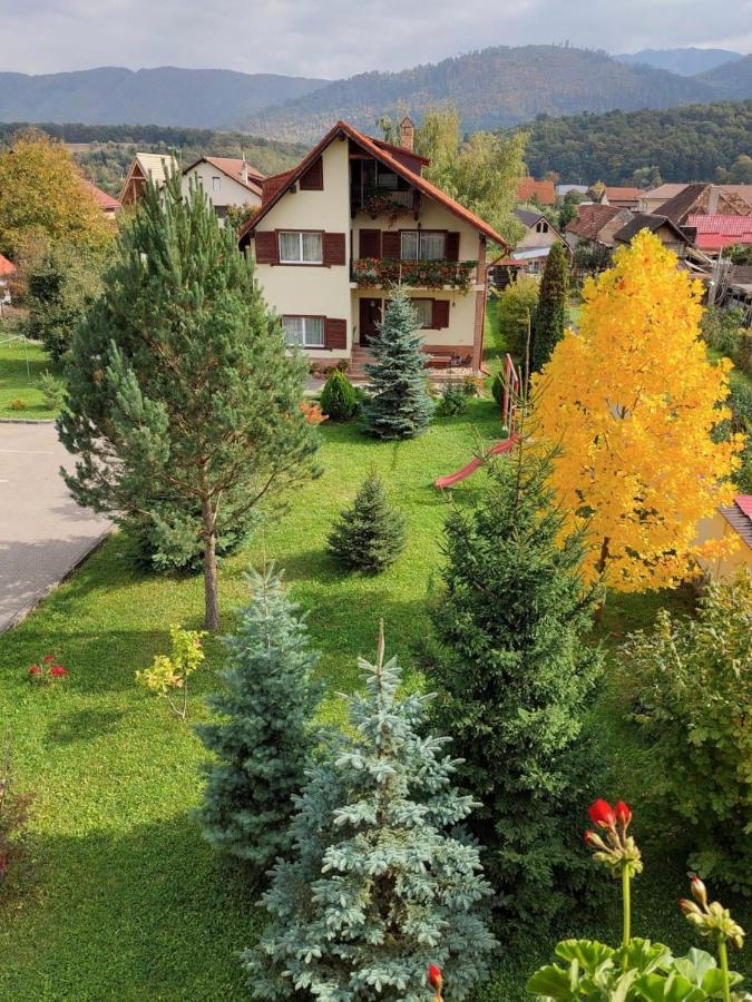 Vila Old Cars Cristian (Brasov) Exterior foto