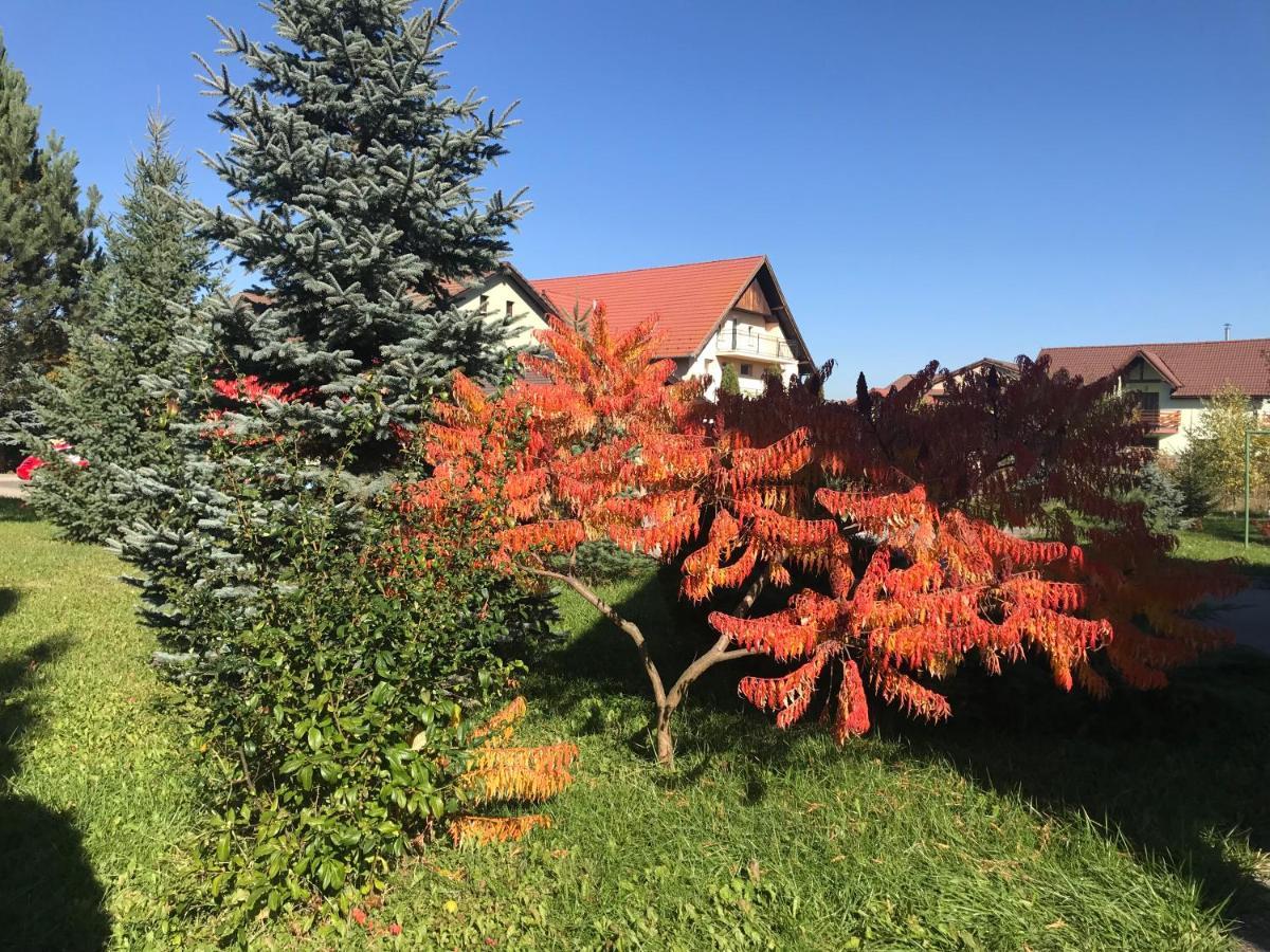 Vila Old Cars Cristian (Brasov) Exterior foto